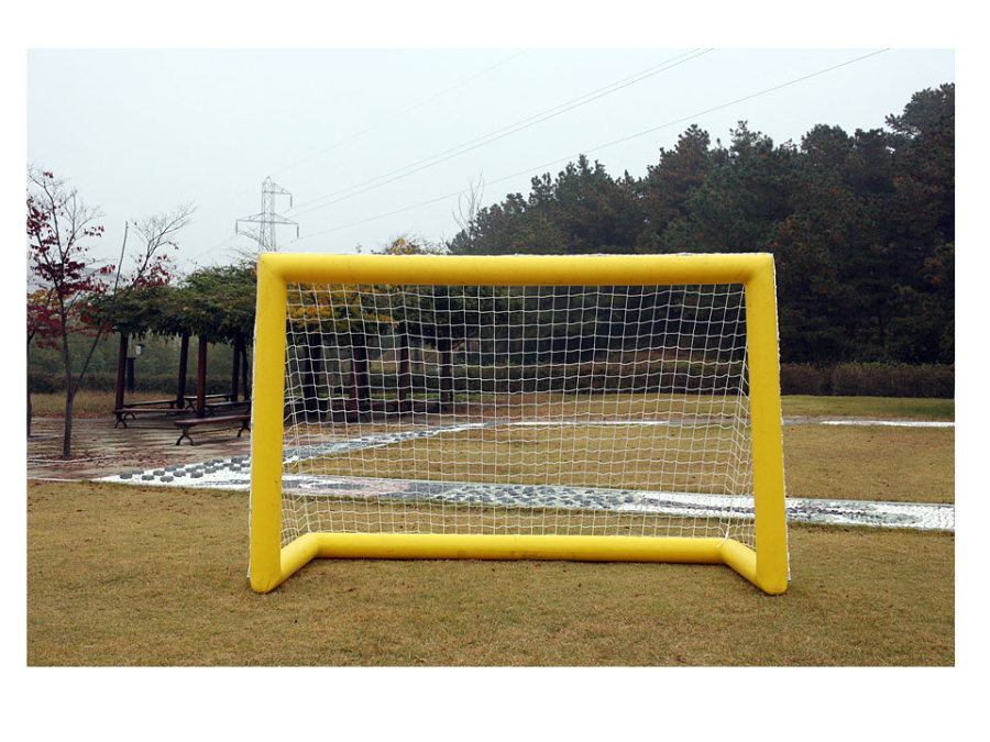 Goal.jpg